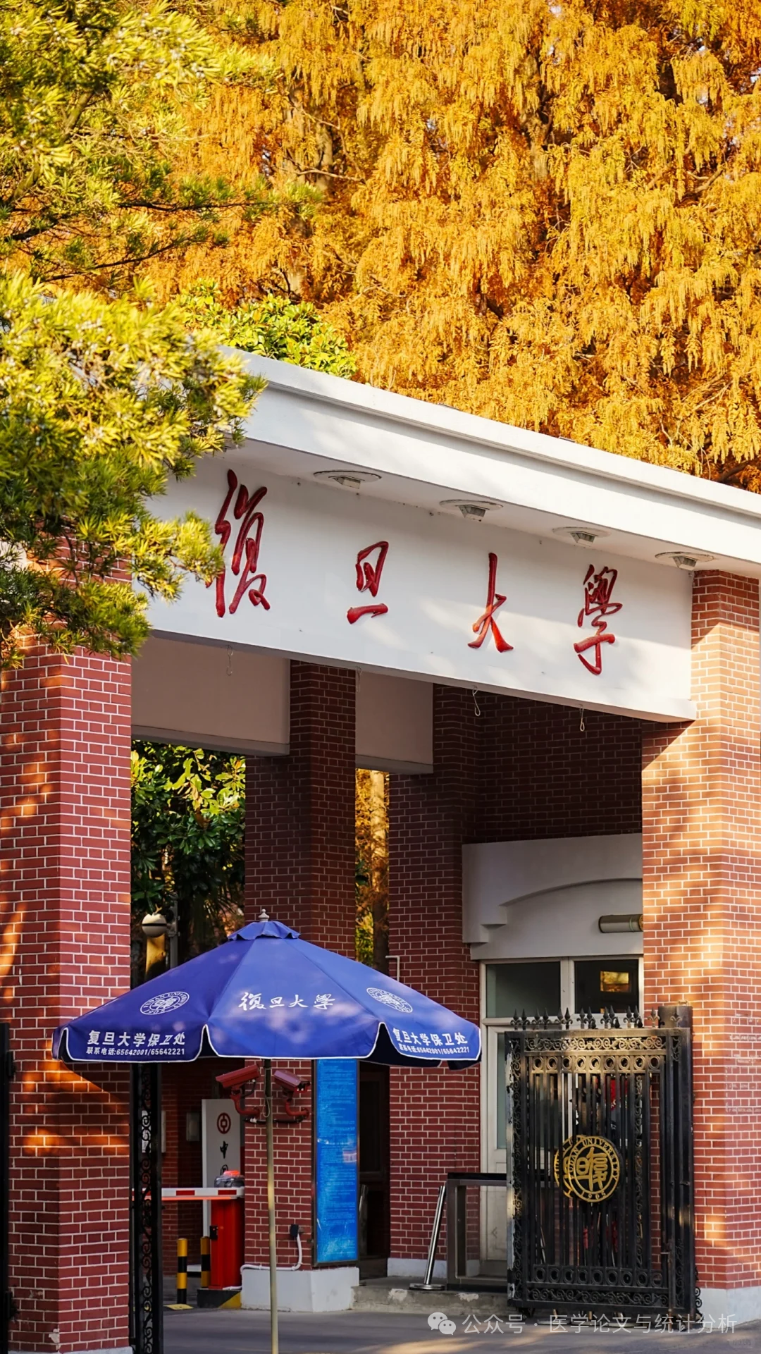复旦大学用NHANES指标DI-GM发文一区top，数据可以实现一键提取！