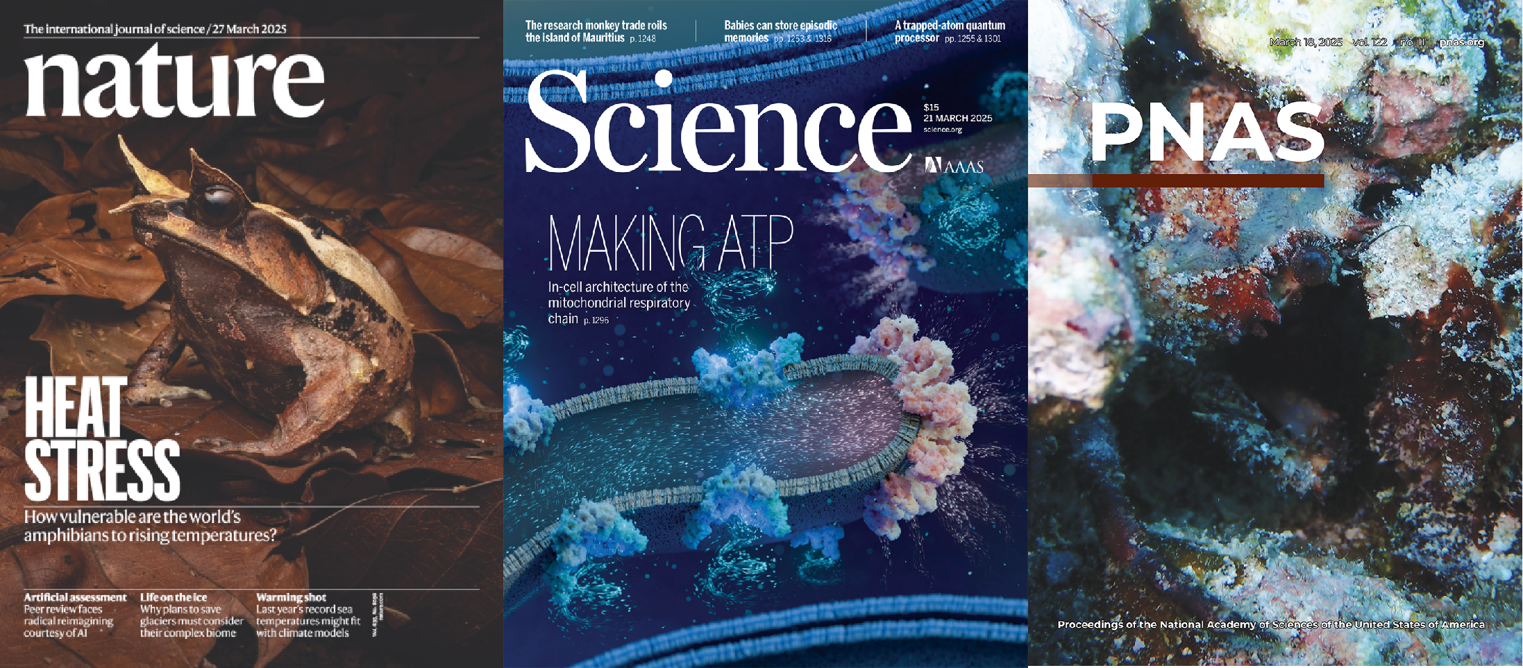 震惊！对Nature、Science论文调查发现，90%统计方法不正确