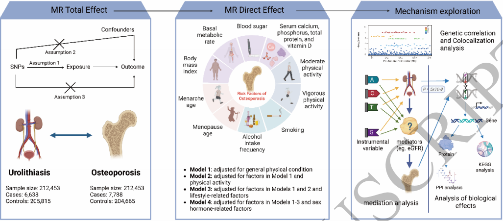 孟德随机化真争气！中国学者用日本数据库拿下二区top，IF=5.1！