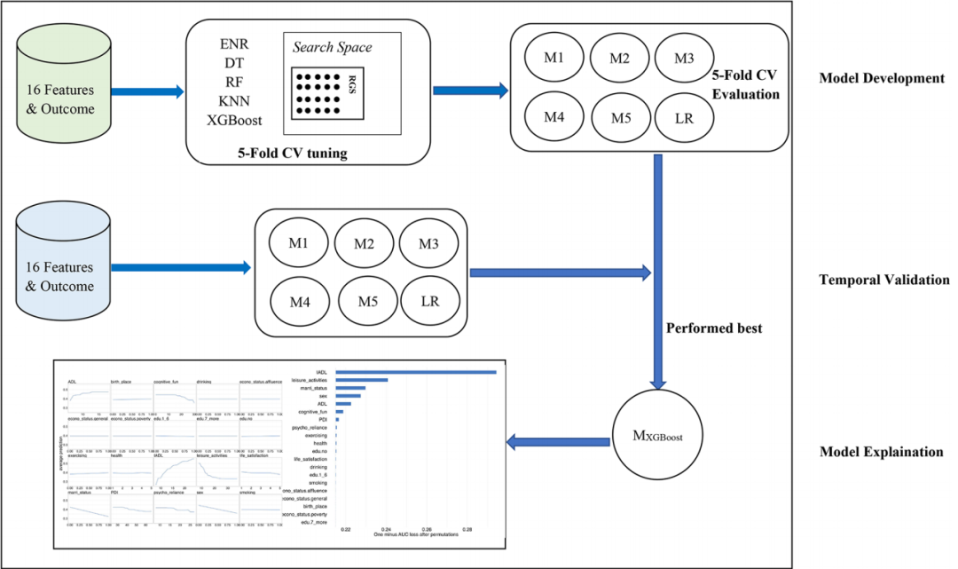 中国学者用CLHLS揭露8个长寿“硬指标”，创新思路拿下二区top