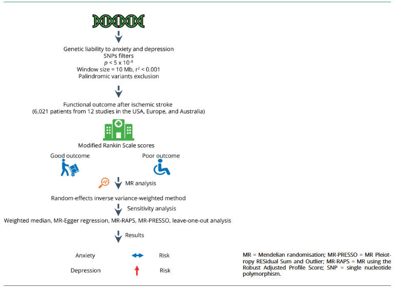 无惧水刊封杀！南京大学学者仅用双向孟德尔随机化发文一区top！