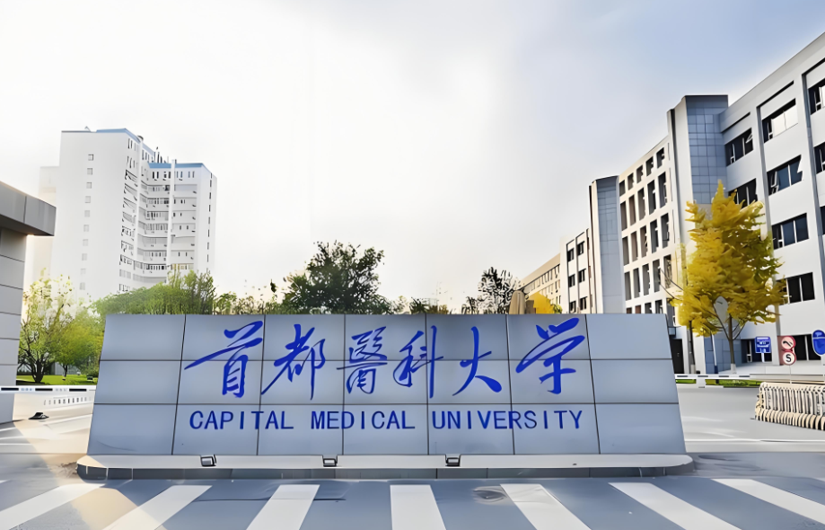 又新又简单！首医学者用GBD新方法-莫兰指数发文二区Top