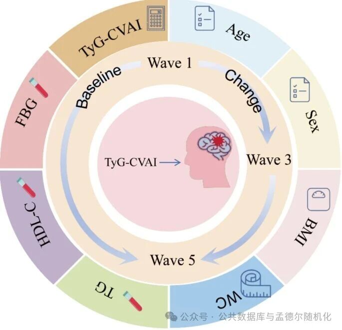 IF 10.6！CHARLS稀有指标TyG-CVAI再发一区Top，全网仅2篇！